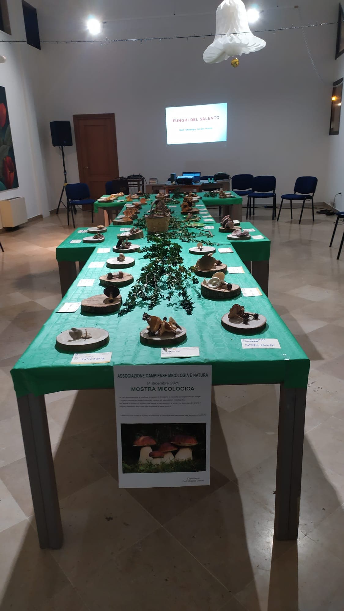 Foto 4 di Mostra Micologica